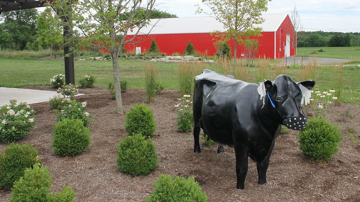 Cow statue